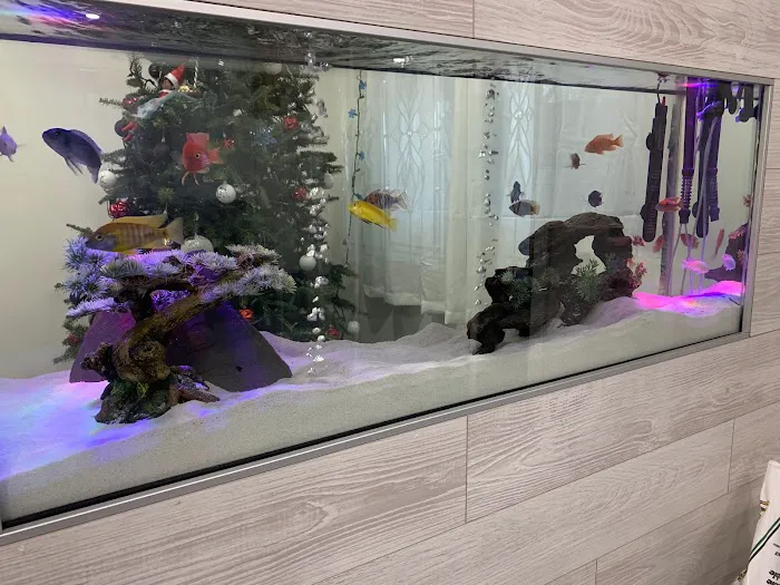 The iFISH Store Picture 2