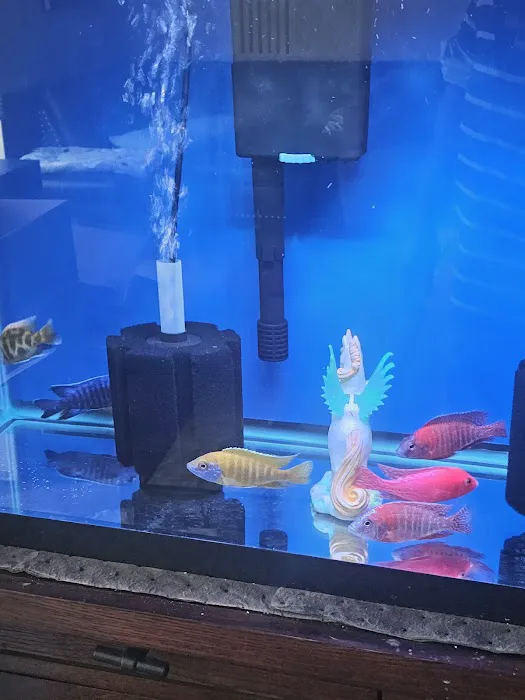 The iFISH Store Picture 9