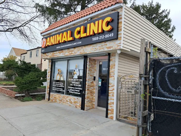 Francis Animal Clinic- Queens Picture 2
