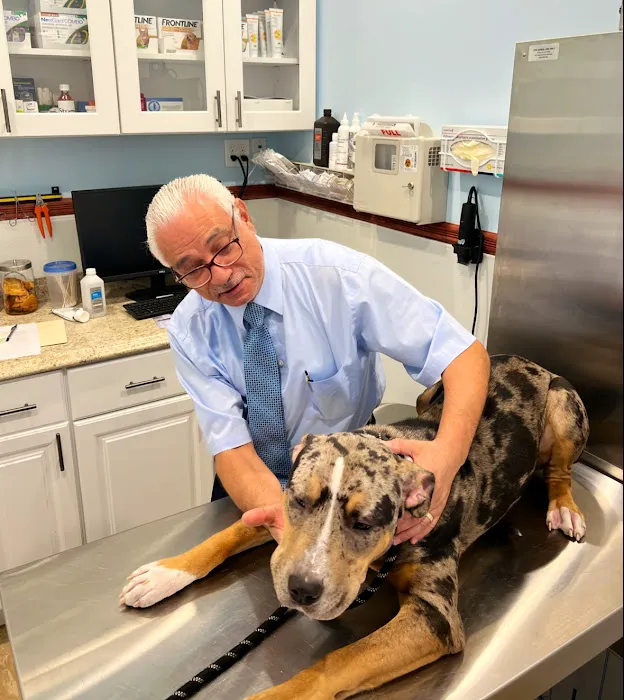 Francis Animal Clinic- Queens Picture 9