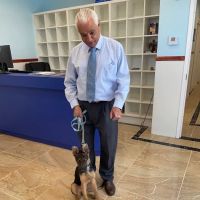 Francis Animal Clinic- Queens ico