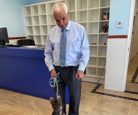 Francis Animal Clinic- Queens