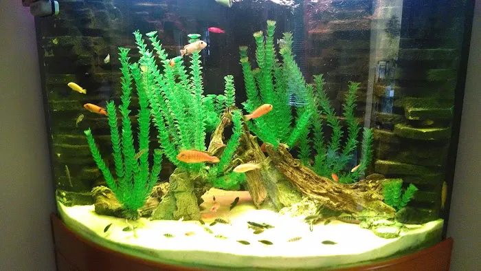 Tri-County Tropicals, Inc. Picture 2