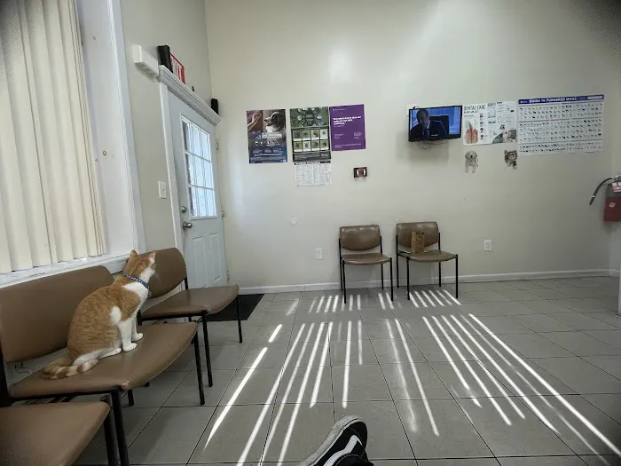 Richmond Hill Veterinary Care Picture 8