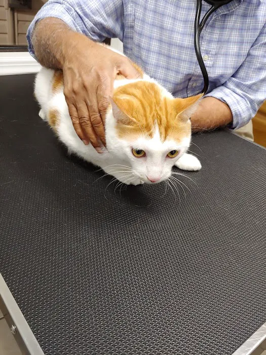 Richmond Hill Veterinary Care Picture 2