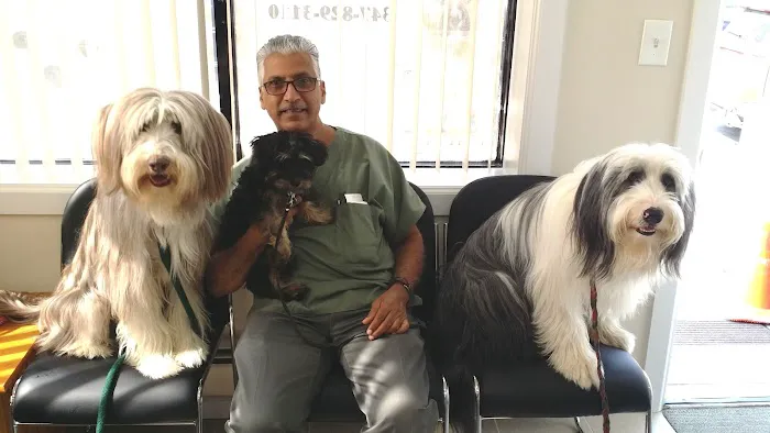 Richmond Hill Veterinary Care Picture 10