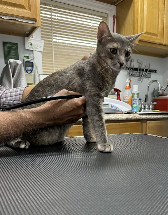 Richmond Hill Veterinary Care Picture 9