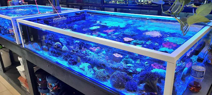 Nature's Reef & Reptile Picture 3
