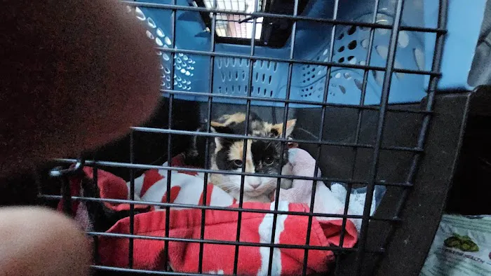 Queens Midway Animal Hospital Picture 2