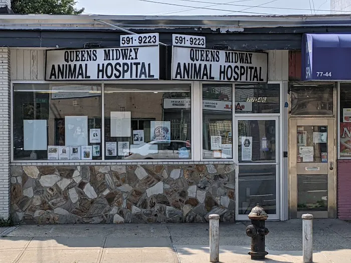 Queens Midway Animal Hospital Picture 4
