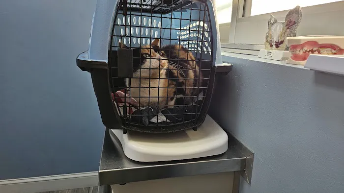 Queens Midway Animal Hospital Picture 1