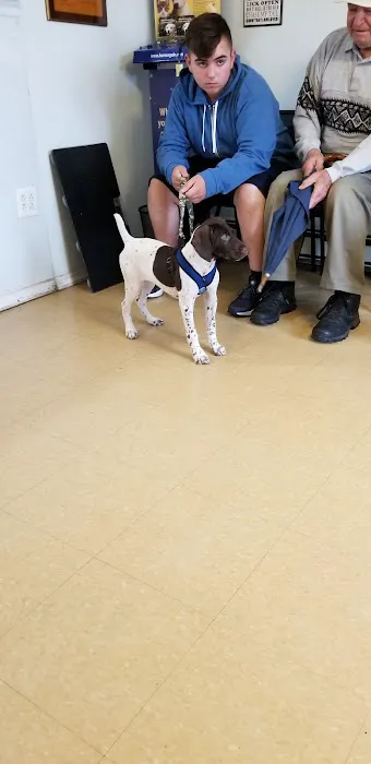 Ozone Park Animal Clinic Picture 5