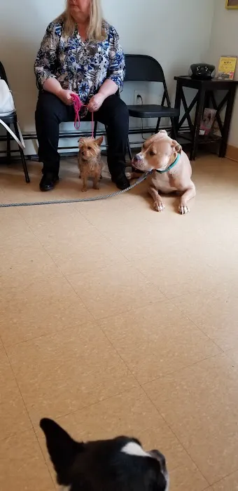 Ozone Park Animal Clinic Picture 4
