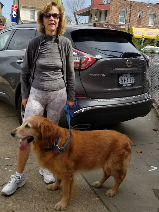 Ozone Park Animal Clinic Picture 10