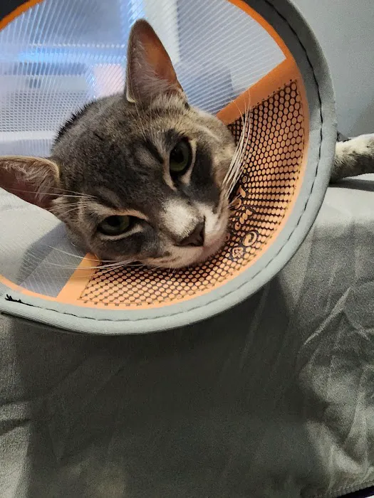 Lefferts Animal Hospital Picture 2