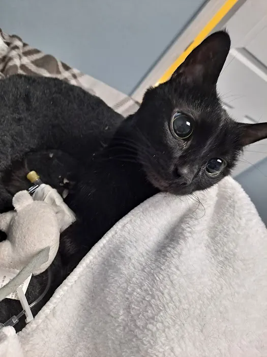 Lefferts Animal Hospital Picture 4