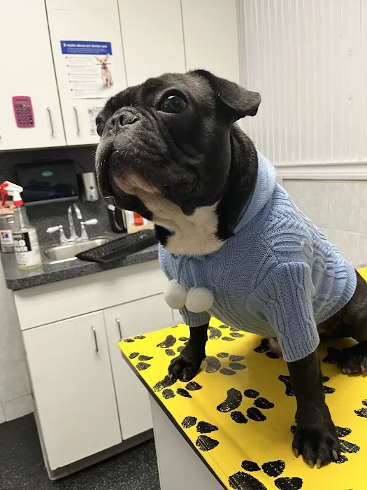 Lefferts Animal Hospital Picture 3