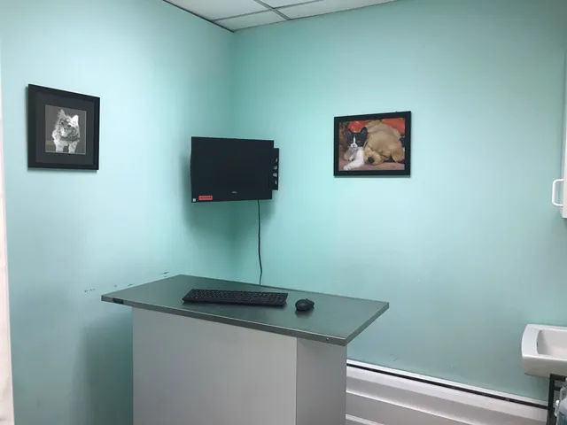 Lefferts Animal Hospital Picture 5