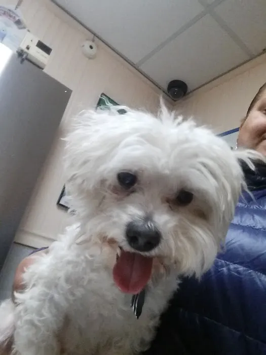 Lefferts Animal Hospital Picture 8