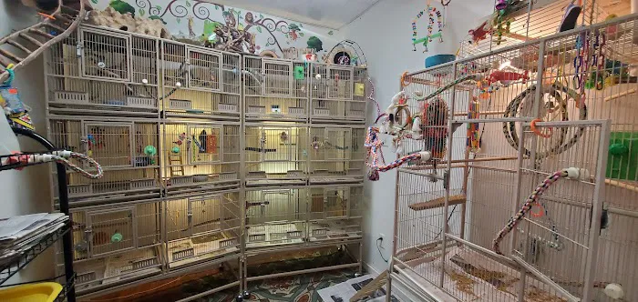 Rensselaer Bird Center Picture 2