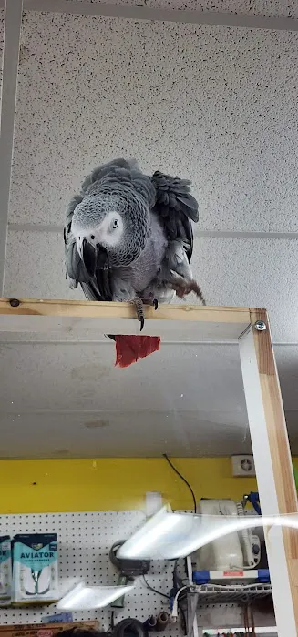 Rensselaer Bird Center Picture 5
