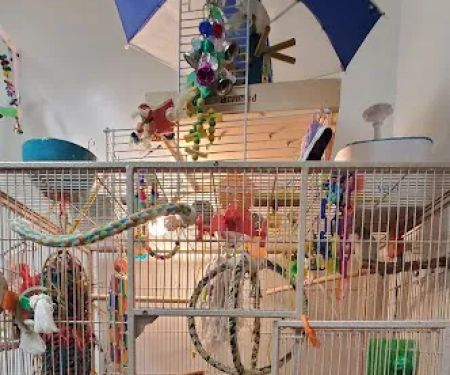 Rensselaer Bird Center
