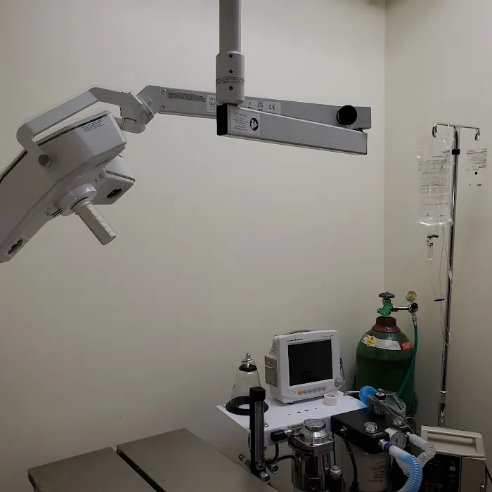 Kew Gardens Animal Hospital Picture 9