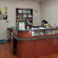 Kew Gardens Animal Hospital ico