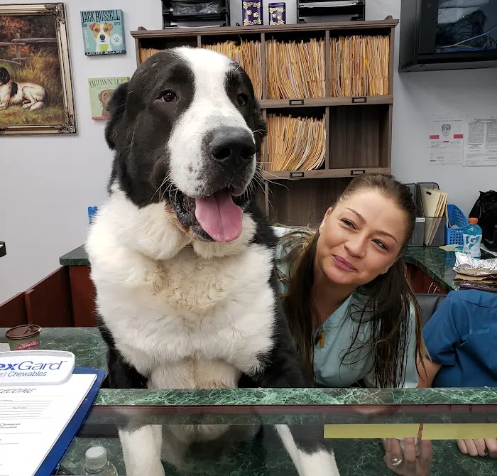 Kew Gardens Animal Hospital Picture 3