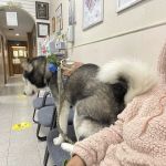 Liberty Animal Clinic