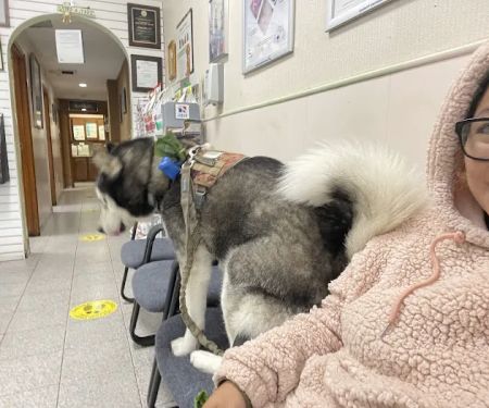 Liberty Animal Clinic