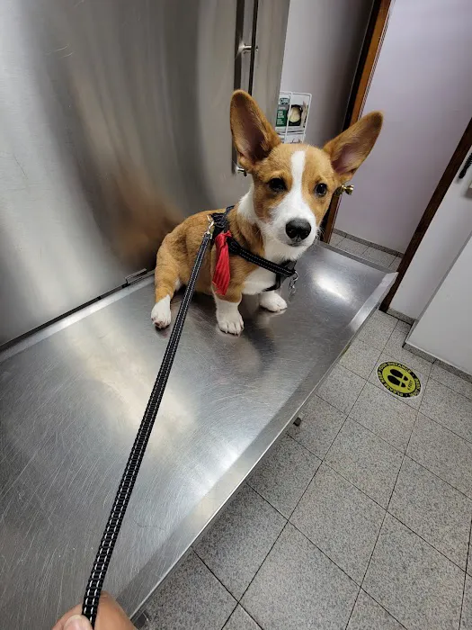Liberty Animal Clinic Picture 9