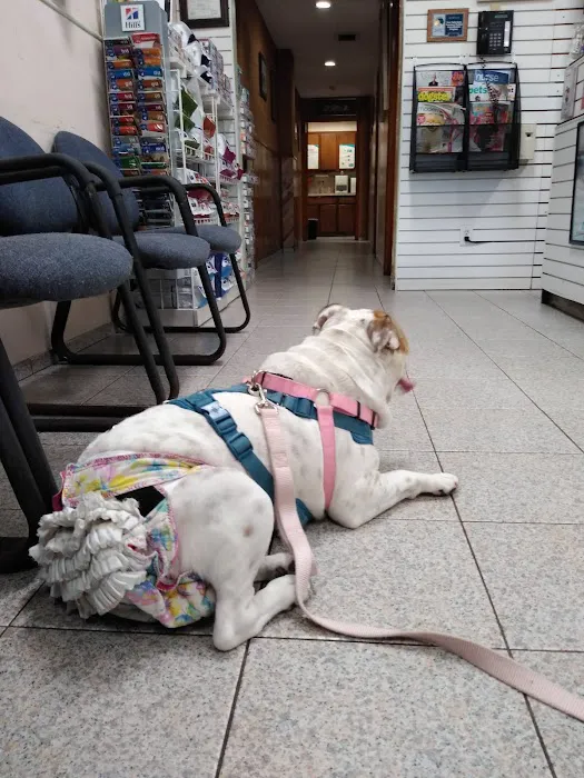 Liberty Animal Clinic Picture 6