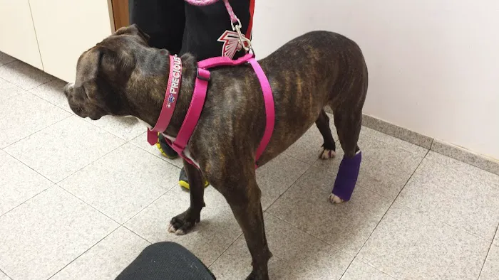 Liberty Animal Clinic Picture 7