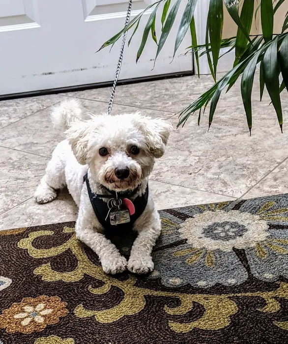 Liberty Animal Clinic Picture 8