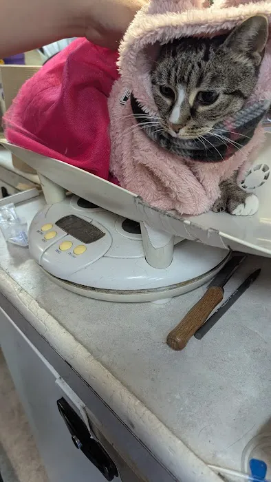 Animal Adoption Veterinary Center Picture 5