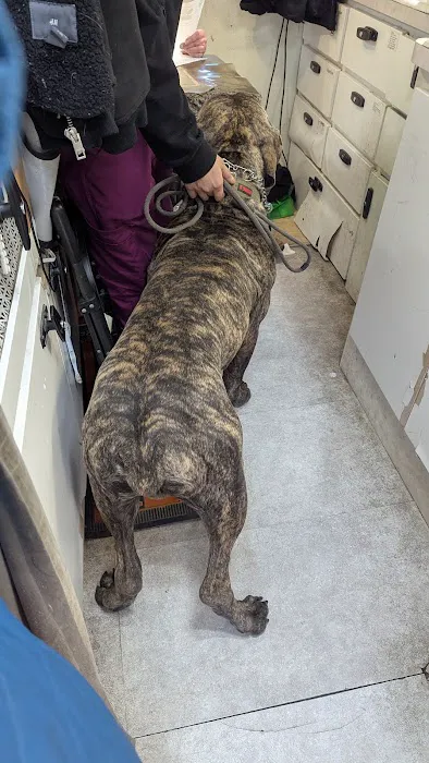 Animal Adoption Veterinary Center Picture 2
