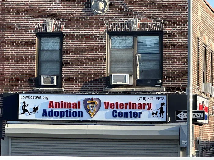Animal Adoption Veterinary Center Picture 8
