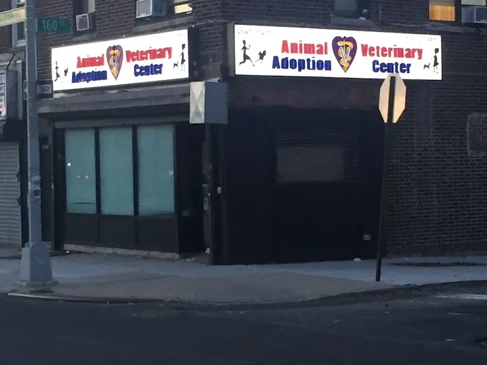Animal Adoption Veterinary Center Picture 10