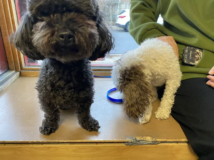 Petcare Animal Clinic Picture 4