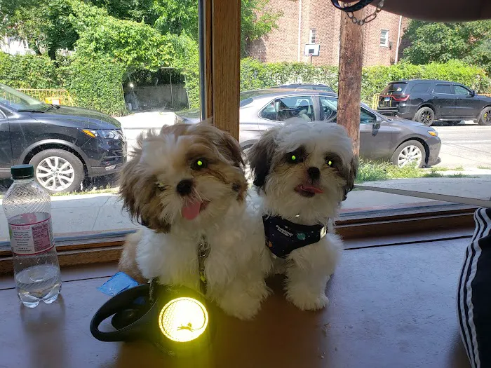 Petcare Animal Clinic Picture 1