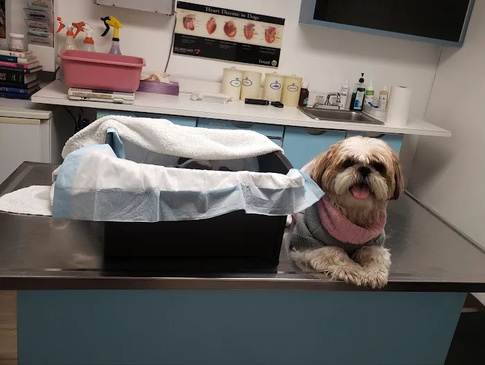 Petcare Animal Clinic Picture 3