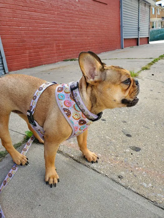 Petcare Animal Clinic Picture 8