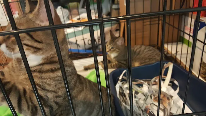 Flushing Veterinary Hospital Picture 1