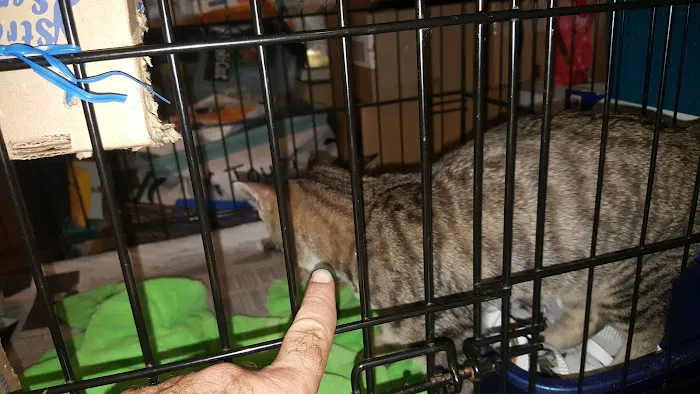 Flushing Veterinary Hospital Picture 7
