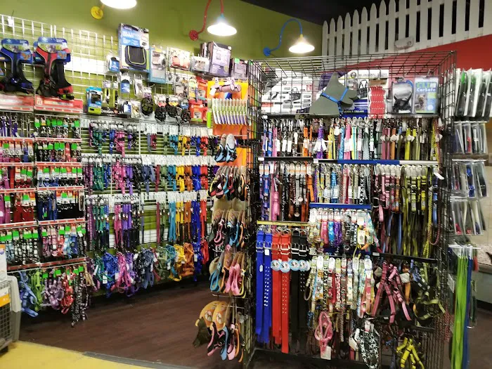 ALL PETS CLUB Picture 3