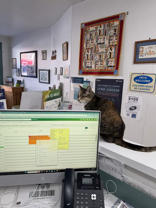 Mobile Veterinary Animal Clinic Picture 5
