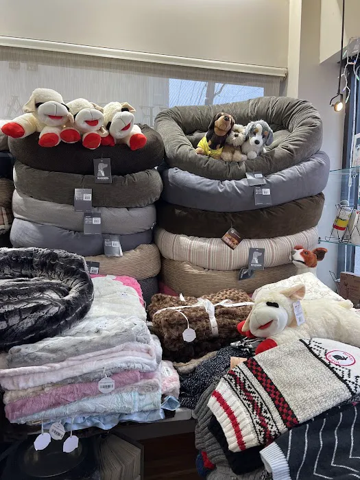 Pets Boutique Picture 4