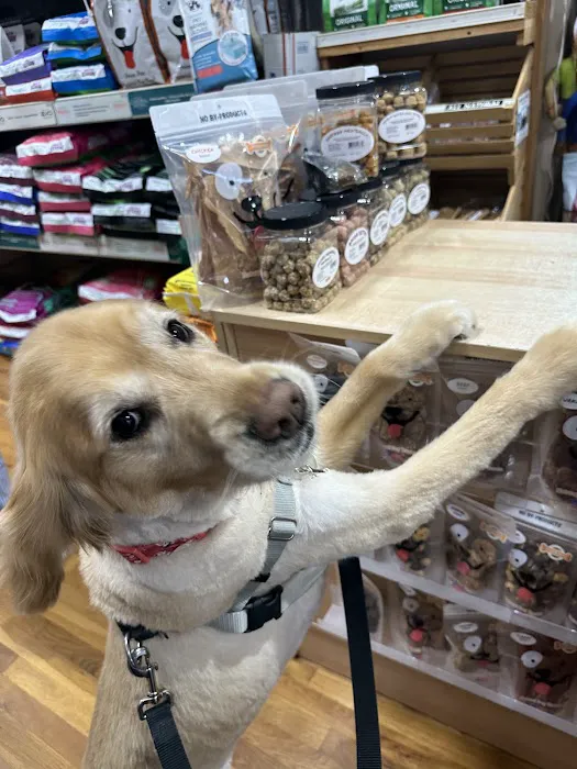 Pets Boutique Picture 1