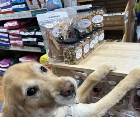 Pets Boutique